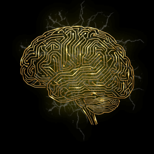 Month 3: Optimized Mode